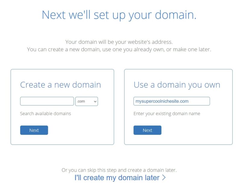 Choosing a Domain Name Bluehost