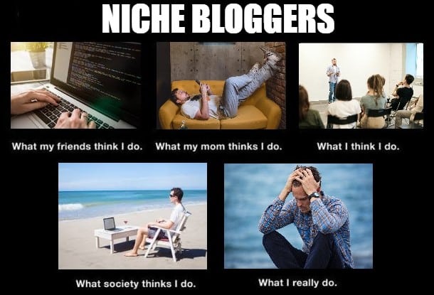 Niche Bloggers - What I Really Do Meme