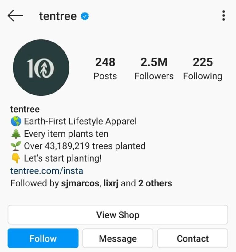 How to do Instagram Blogging 9 Tips for Success