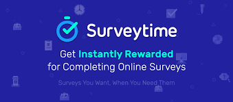 SurveyTime Review