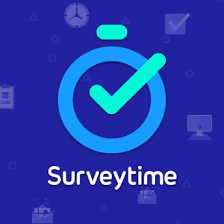 Código de Survey Time