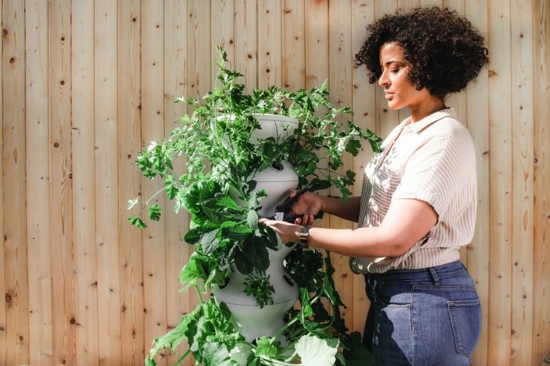 20 Best Stay-at-Home Jobs for Moms & Remote Workers 12 A mother gardening