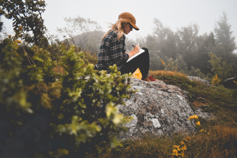 Write a journal 